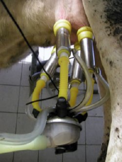 NOTAS TECNICAS de PREVENCION INSHT NTP (386)